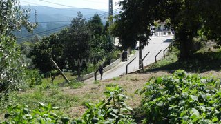 Land for sale in Albergaria-a-Velha, Portugal — €35,000