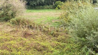 Land for sale in Albergaria-a-Velha, Portugal — €19,000