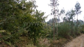 Land for sale in Gondomar, Portugal — €110,000