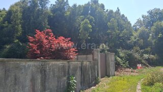 Land for sale in Paredes, Portugal — €16,000