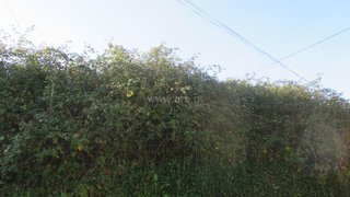 Land for sale in Oliveira de Azeméis, Portugal — €15,000