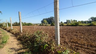 Terreno em Trofa