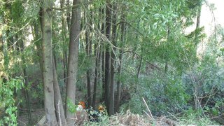 Land for sale in Vila Nova de Gaia, Portugal — €850,000