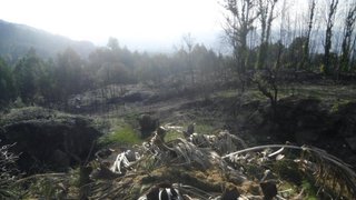 Land for sale in Santo Tirso, Portugal — €107,000