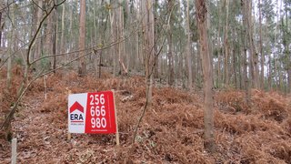 Land for sale in Oliveira de Azeméis, Portugal — €38,000