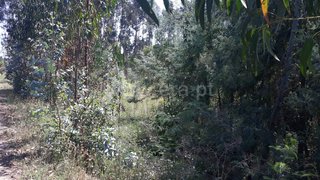 Land for sale in Águeda, Portugal — €78,000
