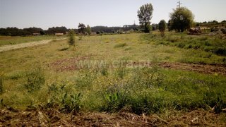 Land for sale in Estarreja, Portugal — €18,500
