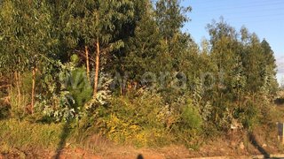 Land for sale in Águeda, Portugal — €42,500