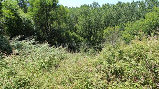 Land for sale in Gondomar, Portugal — €40,000
