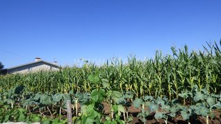 Land for sale in Santo Tirso, Portugal — €110,000