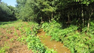 Land for sale in Oliveira de Azeméis, Portugal — €318,500
