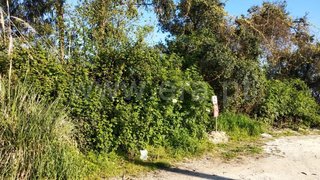Land for sale in Gondomar, Portugal — €50,000