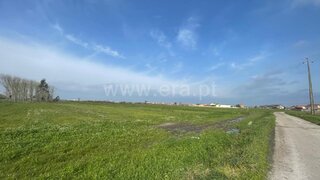 Terreno em Murtosa