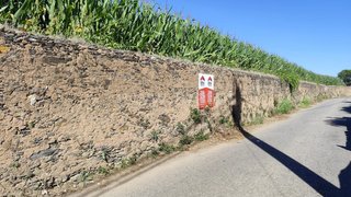 Terreno em Ovar
