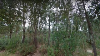Land for sale in Estarreja, Portugal — €25,000