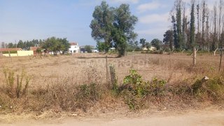 Land for sale in Estarreja, Portugal — €45,000