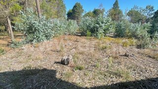 Land for sale in Albergaria-a-Velha, Portugal — €35,000