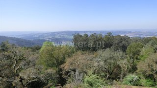 Land for sale in Santo Tirso, Portugal — €207,000