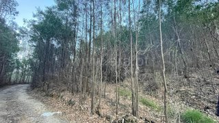 Land for sale in Albergaria-a-Velha, Portugal