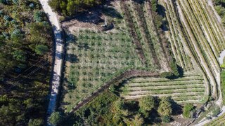 Land for sale in Penafiel, Portugal — €47,800