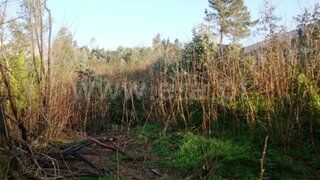 Land for sale in Vila Nova de Gaia, Portugal — €130,000