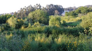 Land for sale in Paredes, Portugal — €107,000