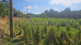 Land for sale in Amarante, Portugal — €76,000