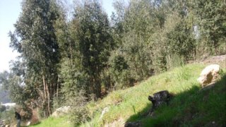 Land for sale in Gondomar, Portugal — €86,000