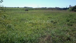 Land for sale in Estarreja, Portugal — €50,000