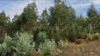 Land for sale in Vale de Cambra, Portugal — €15,000
