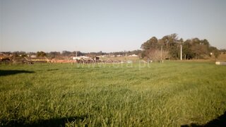 Land for sale in Estarreja, Portugal — €35,500