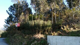 Land for sale in Vale de Cambra, Portugal — €21,000