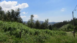 Land for sale in Vale de Cambra, Portugal — €55,000
