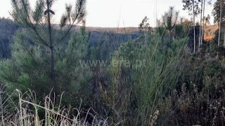 Land for sale in Gondomar, Portugal — €40,000