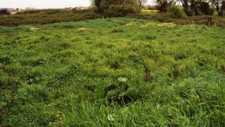 Land for sale in Espinho, Portugal — €150,000