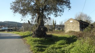 Land for sale in Oliveira de Azeméis, Portugal — €35,000