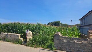 Land for sale in Murtosa, Portugal — €35,500