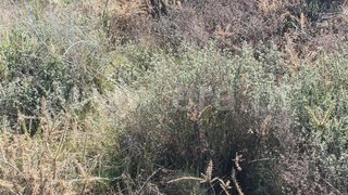 Land for sale in Marco de Canaveses, Portugal — €15,200