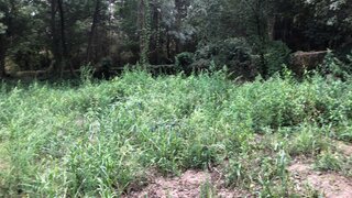Terreno para venda em Vila do Conde, Portugal — 50 000 €
