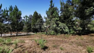 Land for sale in Albergaria-a-Velha, Portugal — €60,000