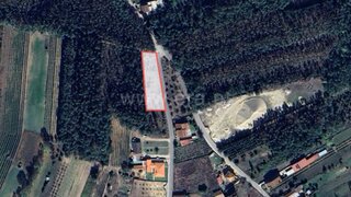 Land for sale in Anadia, Portugal — €18,900