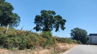Land for sale in Vila Nova de Gaia, Portugal — €1,150,000