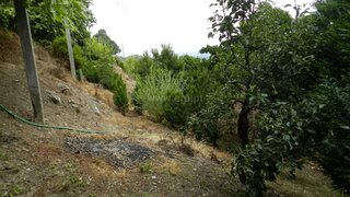 Land for sale in Oliveira de Azeméis, Portugal — €45,000