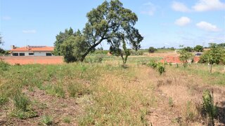 Land for sale in Vagos, Portugal — €140,000