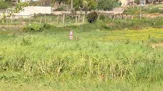 Land for sale in Gondomar, Portugal — €16,000