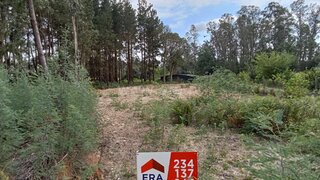 Land for sale in Albergaria-a-Velha, Portugal — €29,000