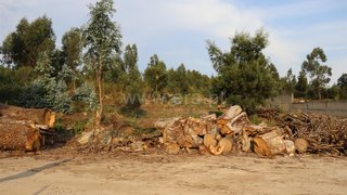 Land for sale in Paredes, Portugal — €56,500