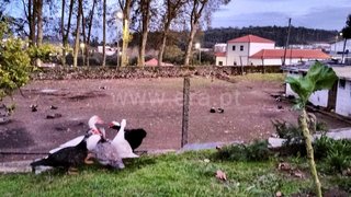 Land for sale in Paços de Ferreira, Portugal — €410,000