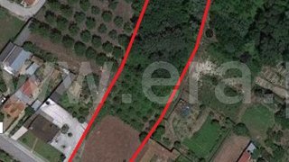 Land for sale in Anadia, Portugal — €55,000