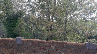 Land for sale in Águeda, Portugal — €23,000